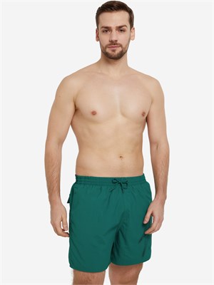 8-1243215567 Шорты для мужчин Speedo Mens Hyper Boom Logo 16 Watershort Green 8-1243215567