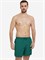 8-1243215567 Шорты для мужчин Speedo Mens Hyper Boom Logo 16 Watershort Green 8-1243215567