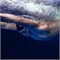 Очки Funky Blade Swimmer Google Radioactive FYA200N0162700