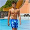 FTS003B Джаммеры Funky Trunks Boys Training Jammers Dive In FTS003B71816