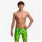 Джаммеры Funky Trunks Boys Training Jammers Try Tonic FTS003B72495